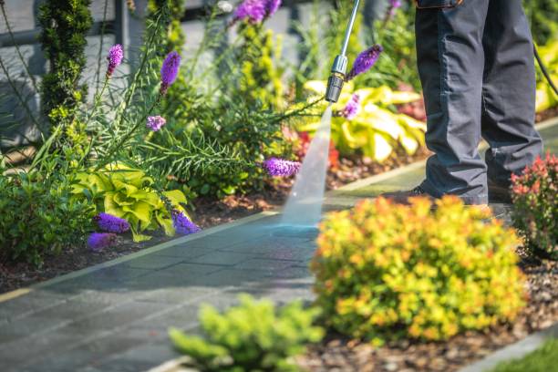 Best Pool Deck Cleaning  in Sugarcreek, PA